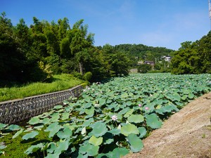 居多神社