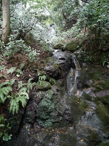 白山比咩神社