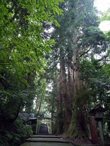 白山比咩神社