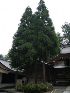 白山比咩神社