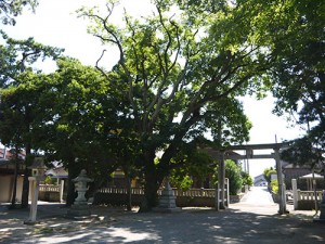 小濱神社