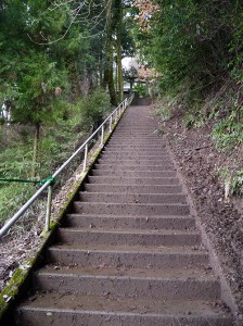久米田神社　階段