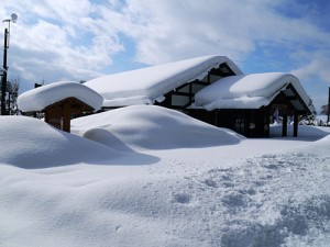 平泉寺白山神社