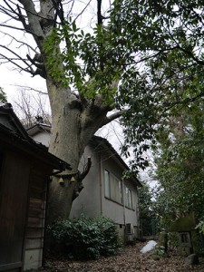 長田菅原神社