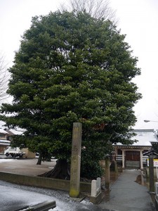 馬替神社