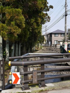 野蛟神社