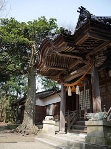 野蛟神社