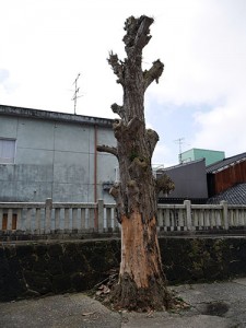 日宮神社