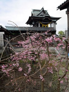 日宮神社