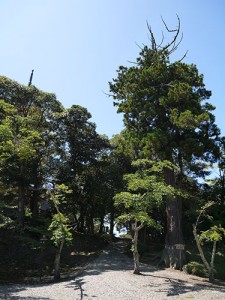 妙成寺