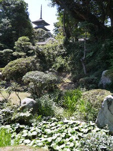 妙成寺