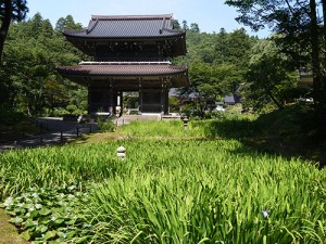 林泉寺