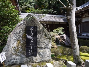 岩間寺　芭蕉池