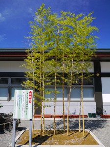 石川護国神社