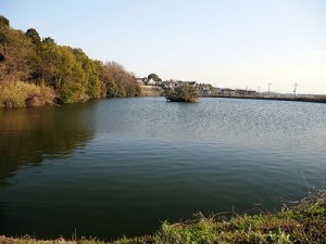 奈良縣護国神社