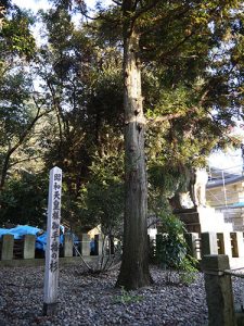 福井縣護国神社