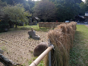 岐阜護国神社