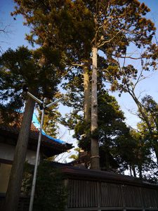 白鳥神社