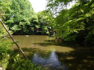 氷川神社