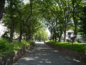 氷川神社