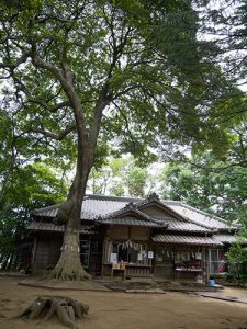 氷川女體神社