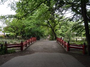 氷川女體神社