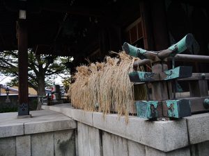 有礒正八幡宮