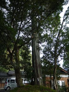 春日神社