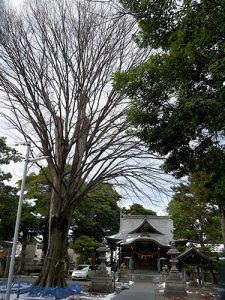 泉野桜木神社