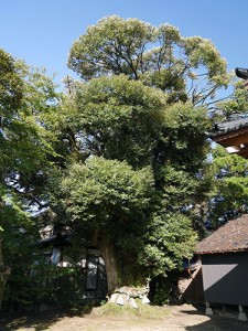 道神社