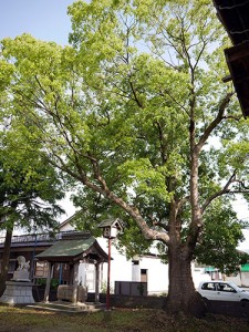 八幡神社