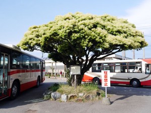 羽咋神社元宮