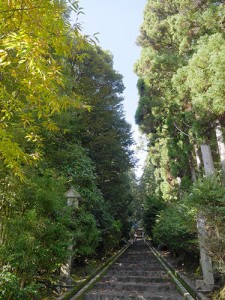 阿良加志比古神社