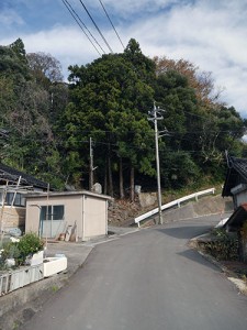 宿那彦神像石神社