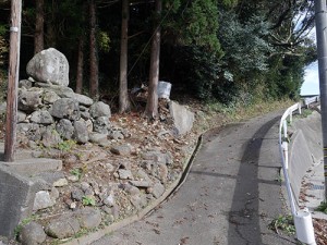 宿那彦神像石神社