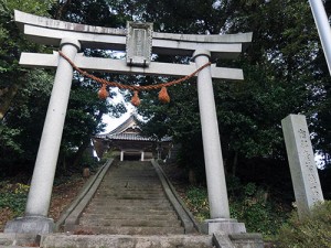 宿那彦神像石神社