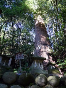 舟津神社