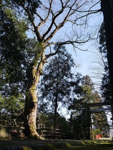 舟津神社