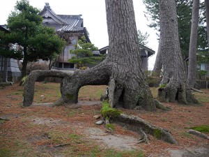 安産日吉神社