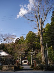 天日陰比咩神社