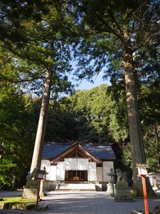 天日陰比咩神社