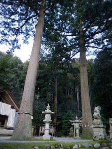 天日陰比咩神社