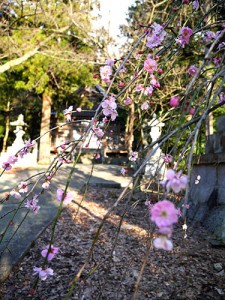 久氐比古神社