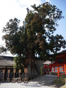 岩本神社