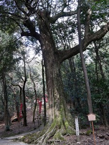 金龍神社