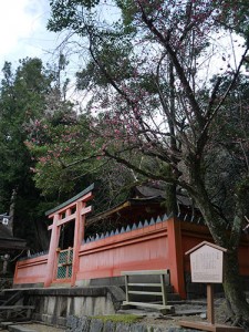 若宮神社