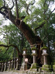 若宮神社