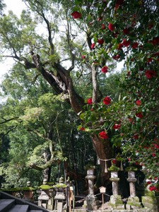 若宮神社