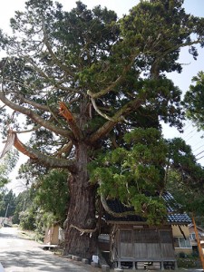 愛宕神社