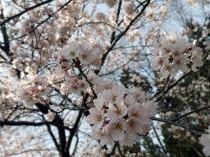 二本松神社